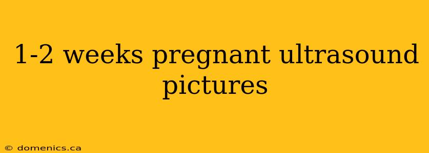 1-2 weeks pregnant ultrasound pictures