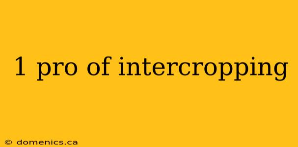 1 pro of intercropping