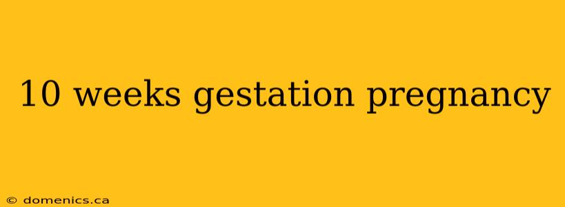 10 weeks gestation pregnancy