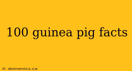 100 guinea pig facts