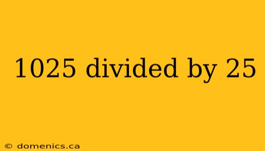 1025 divided by 25