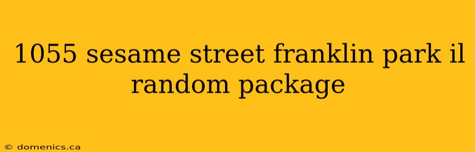 1055 sesame street franklin park il random package