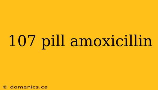 107 pill amoxicillin