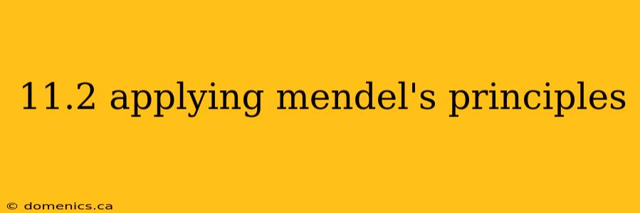 11.2 applying mendel's principles