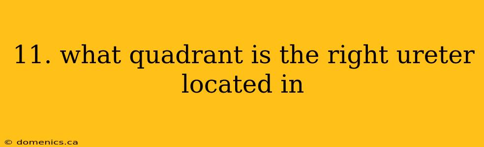 11. what quadrant is the right ureter located in