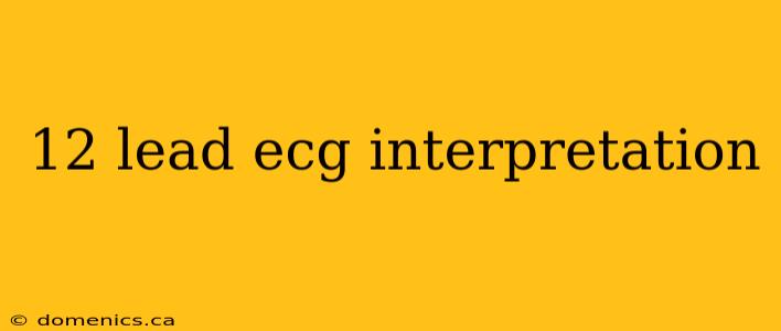 12 lead ecg interpretation