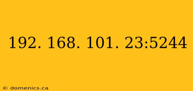 192. 168. 101. 23:5244