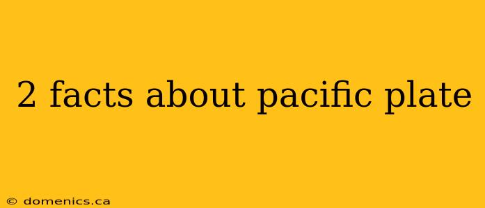 2 facts about pacific plate