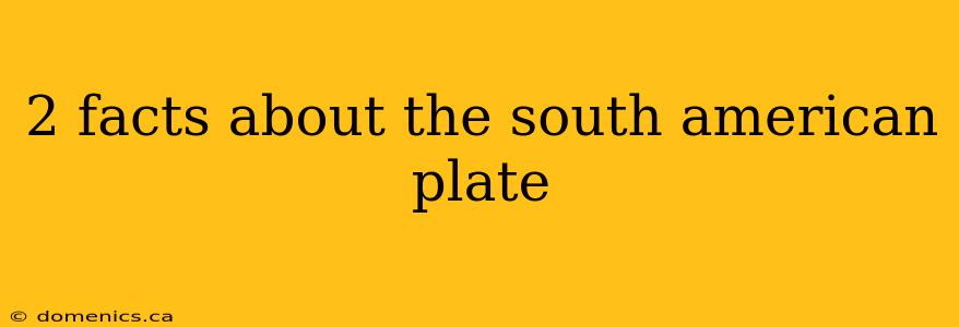 2 facts about the south american plate