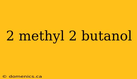 2 methyl 2 butanol