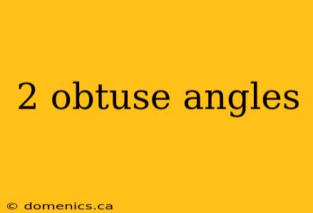 2 obtuse angles