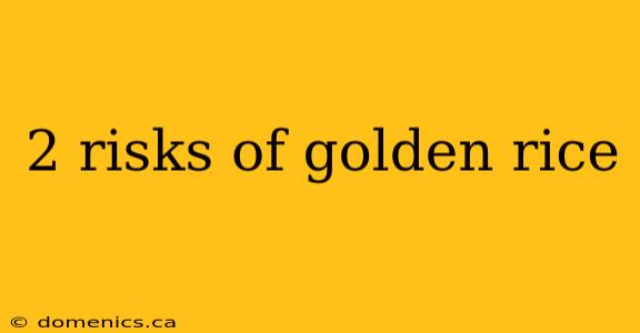 2 risks of golden rice