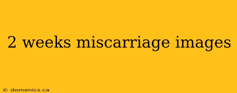 2 weeks miscarriage images