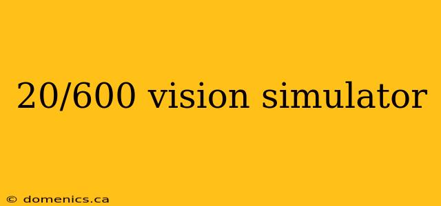 20/600 vision simulator