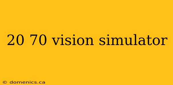 20 70 vision simulator