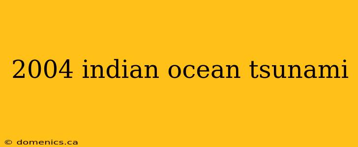 2004 indian ocean tsunami