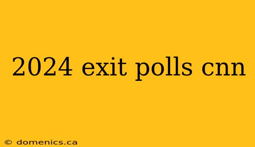 2024 exit polls cnn