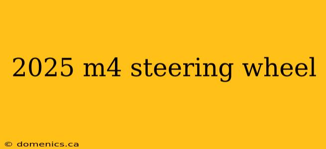 2025 m4 steering wheel
