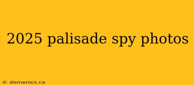 2025 palisade spy photos