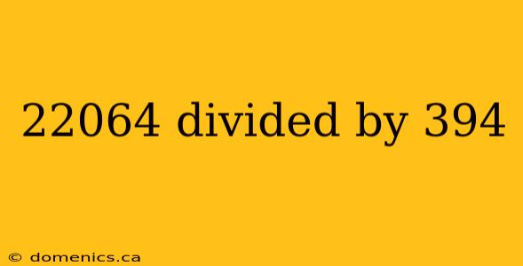 22064 divided by 394