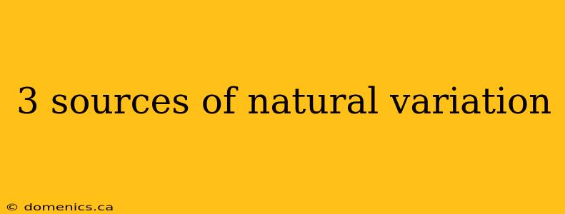 3 sources of natural variation