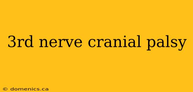 3rd nerve cranial palsy