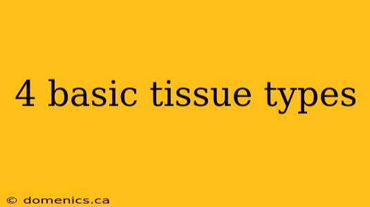 4 basic tissue types