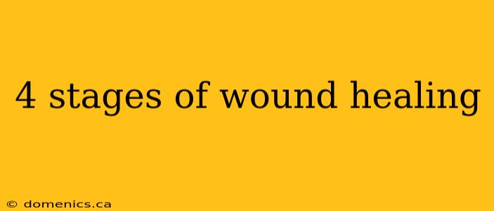 4 stages of wound healing