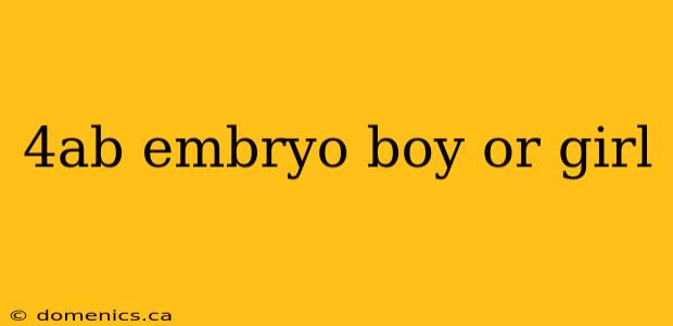 4ab embryo boy or girl