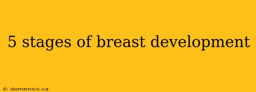 5 stages of breast development