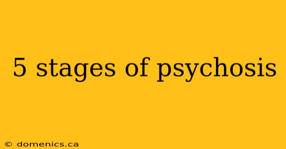 5 stages of psychosis