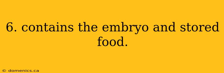 6. contains the embryo and stored food.