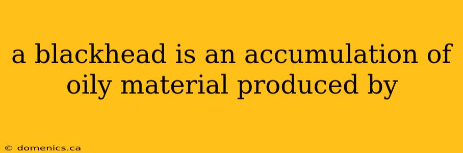 a blackhead is an accumulation of oily material produced by