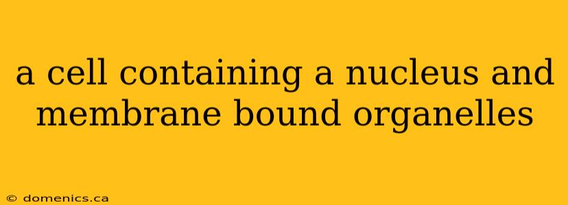 a cell containing a nucleus and membrane bound organelles