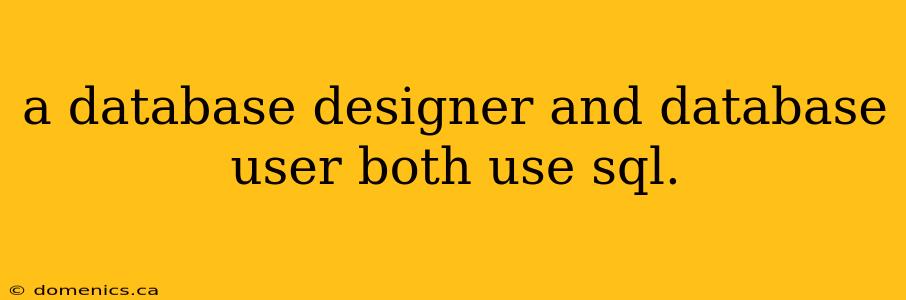 a database designer and database user both use sql.