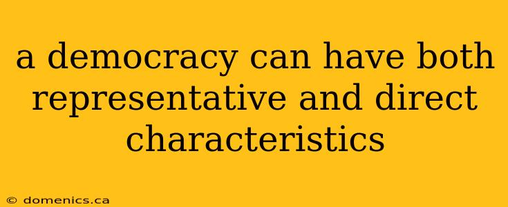 a democracy can have both representative and direct characteristics