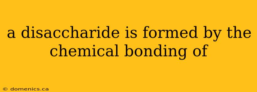 a disaccharide is formed by the chemical bonding of