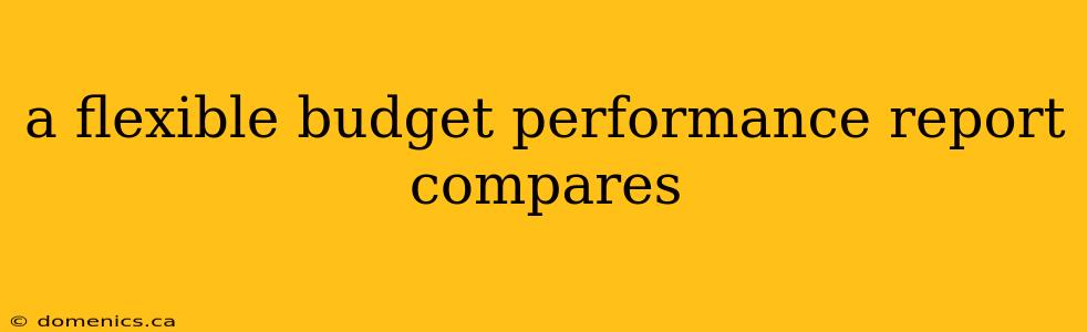 a flexible budget performance report compares