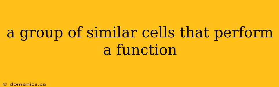 a group of similar cells that perform a function