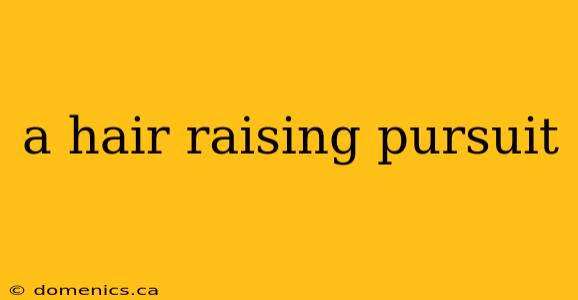 a hair raising pursuit