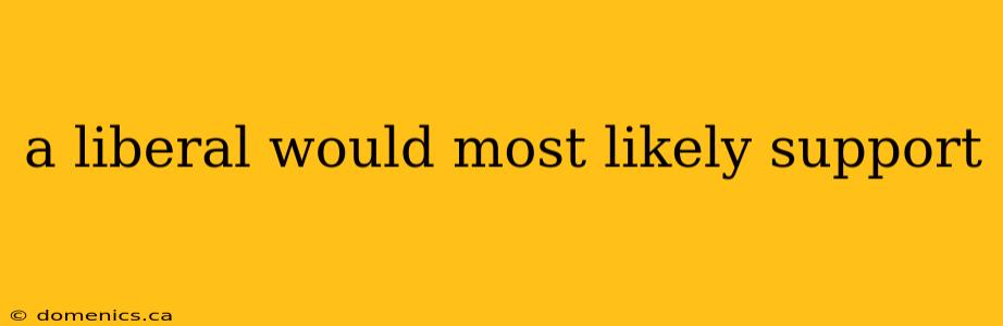 a liberal would most likely support