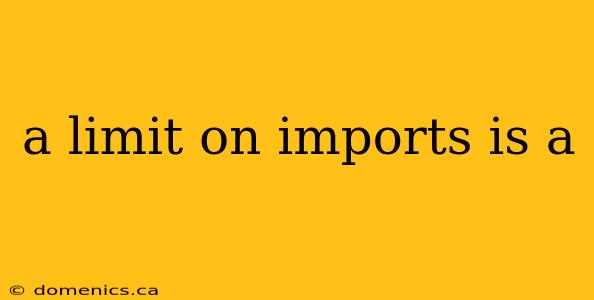 a limit on imports is a