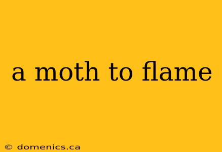 a moth to flame