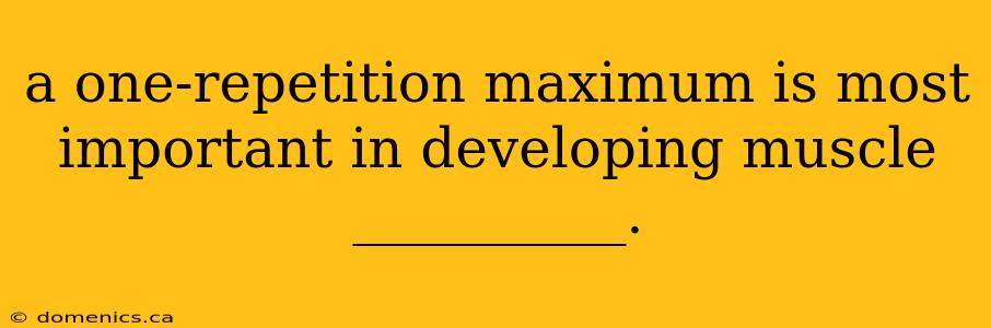 a one-repetition maximum is most important in developing muscle __________.