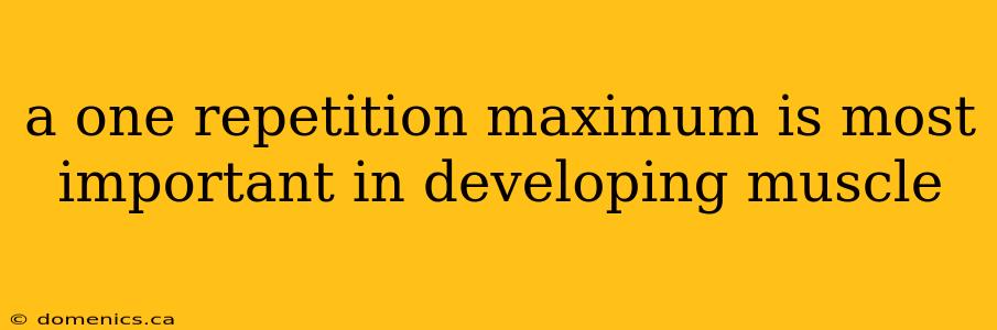 a one repetition maximum is most important in developing muscle