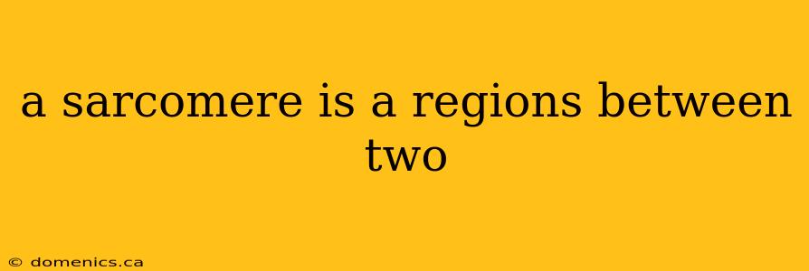 a sarcomere is a regions between two