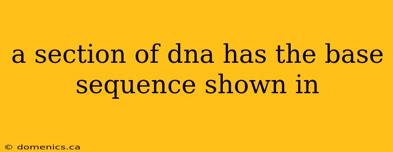 a section of dna has the base sequence shown in