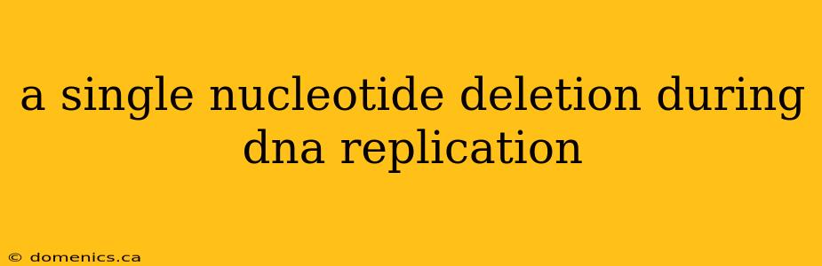 a single nucleotide deletion during dna replication