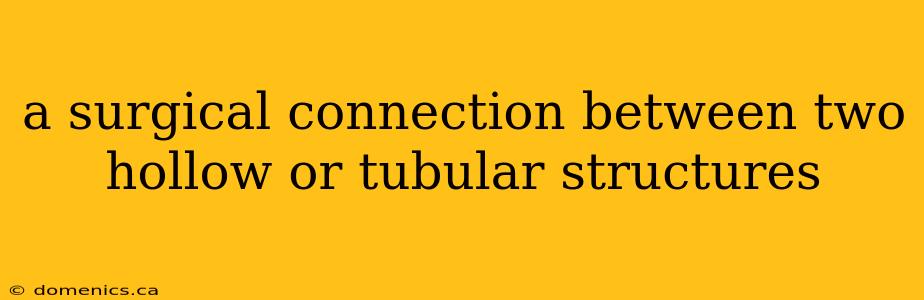 a surgical connection between two hollow or tubular structures