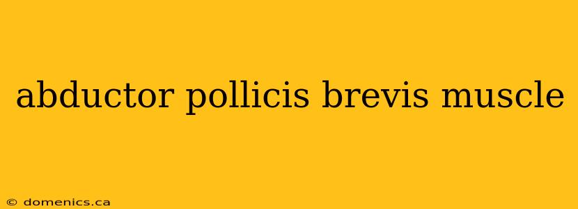 abductor pollicis brevis muscle